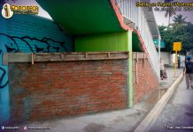 Barda en Puente Peatonal 2020